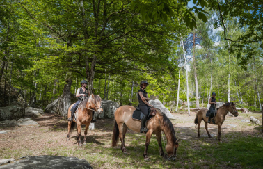 The Imperial Heritage Forest Ride